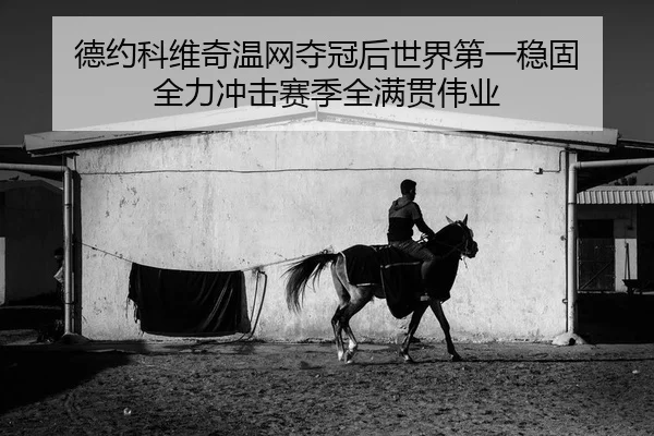 德约科维奇温网夺冠后世界第一稳固 全力冲击赛季全满贯伟业